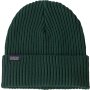 Patagonia 29105 CASG Fishermans Rolled Beanie cascade green